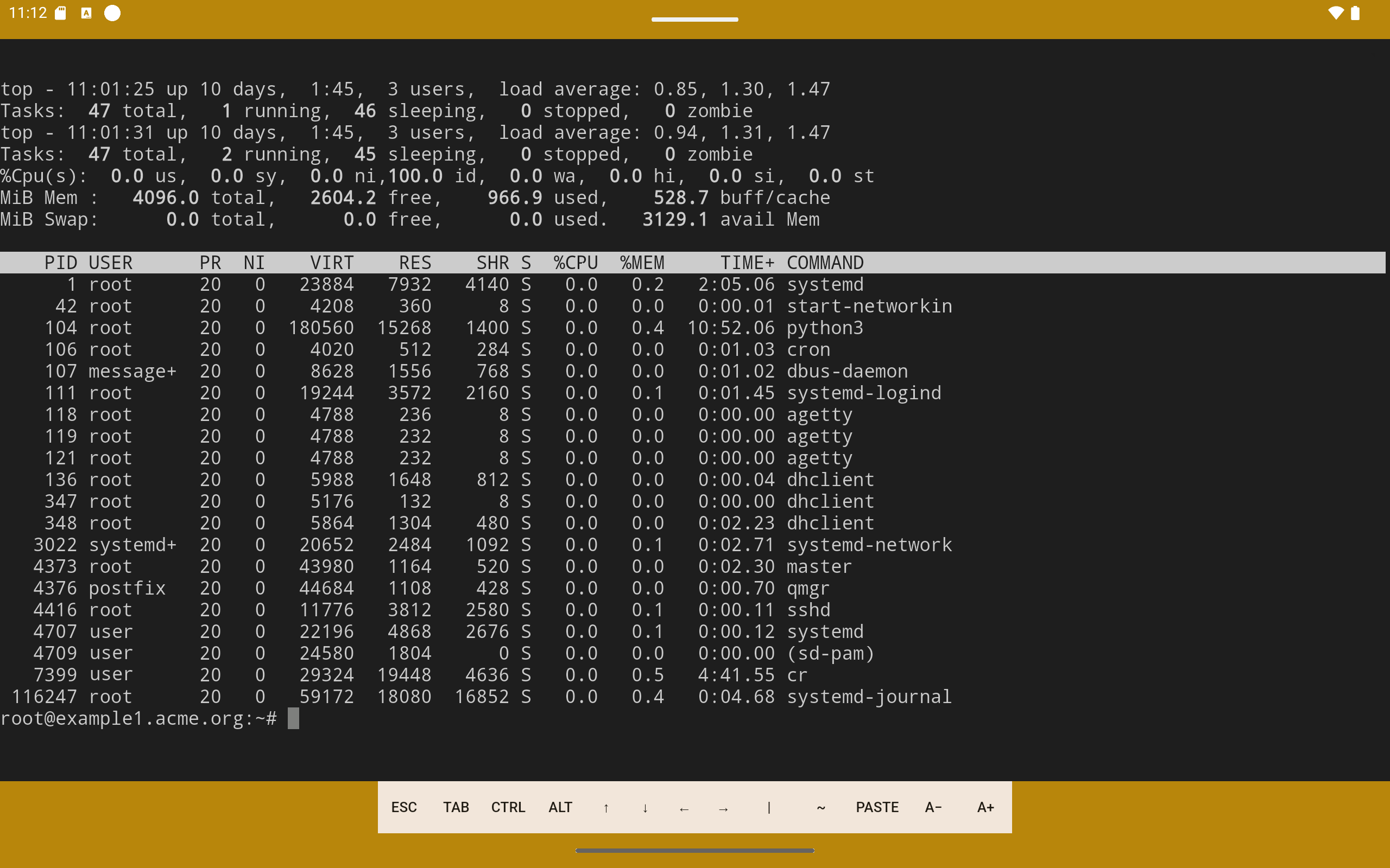 YuzuSSH terminal session